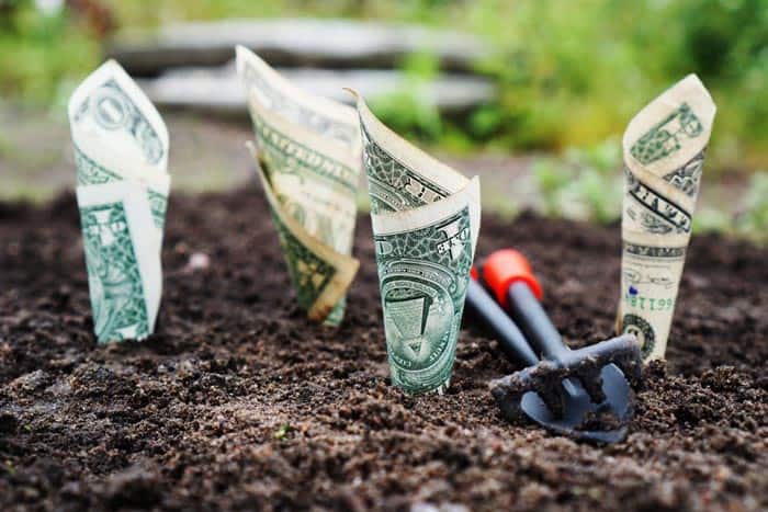 Do Life Insurance Policy Payouts Go Unclaimed?