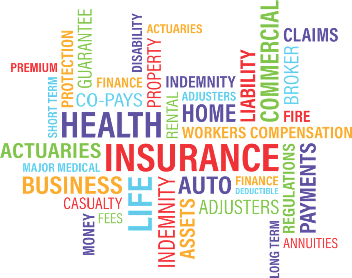 Blue States Forced to Offload Popular Obamacare Protections?