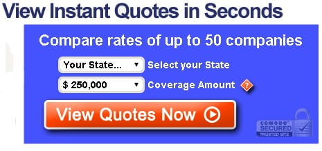 Top Life Insurance Quotes