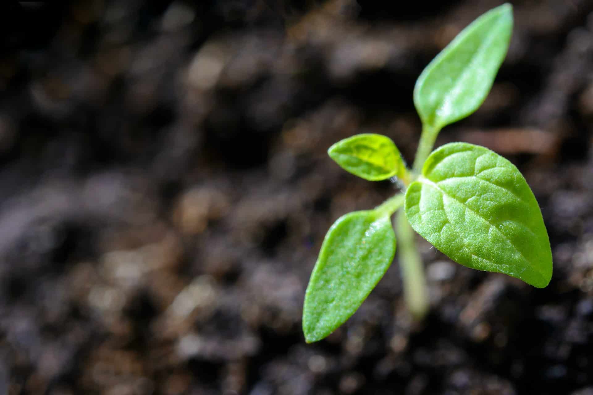 Life Insurance Sales Grow After First Quarter