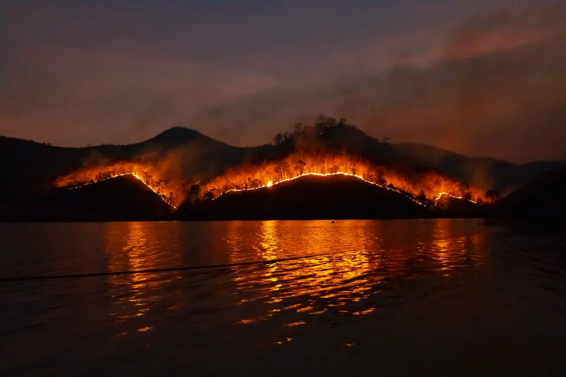 How is Your Insurance Affected by Wildfire Safety?
